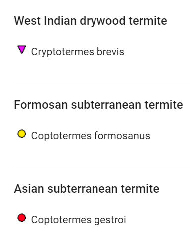 termite1